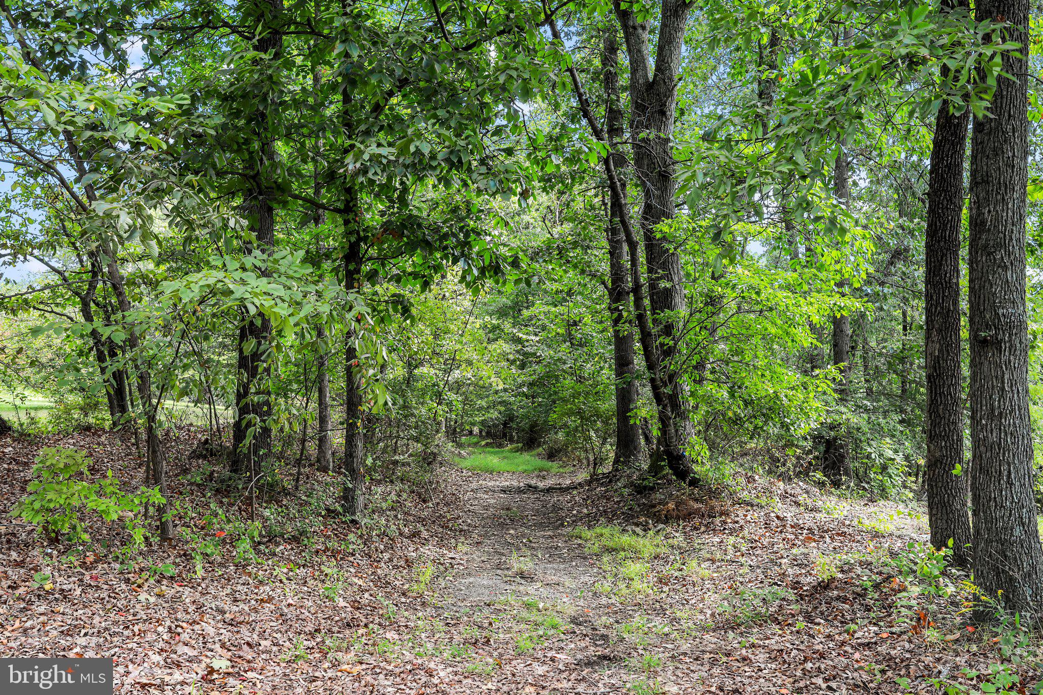 566 Reynolds Road Cross Junction, VA 22625 - Photo 46 of 55
