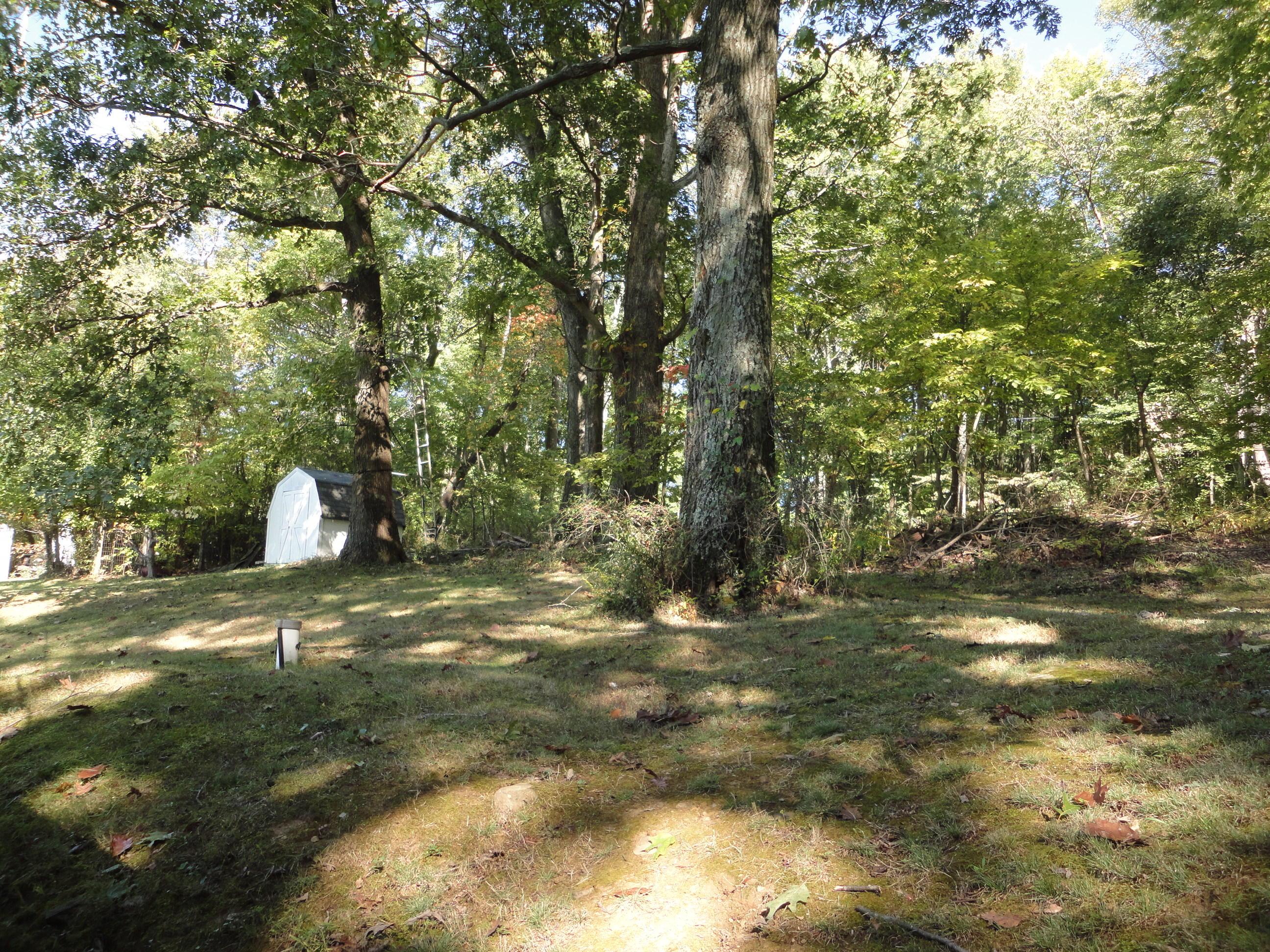 9786 Walnut Dowler Road Logan, OH 43138 - Photo 5 of 11 Gallery Image 5