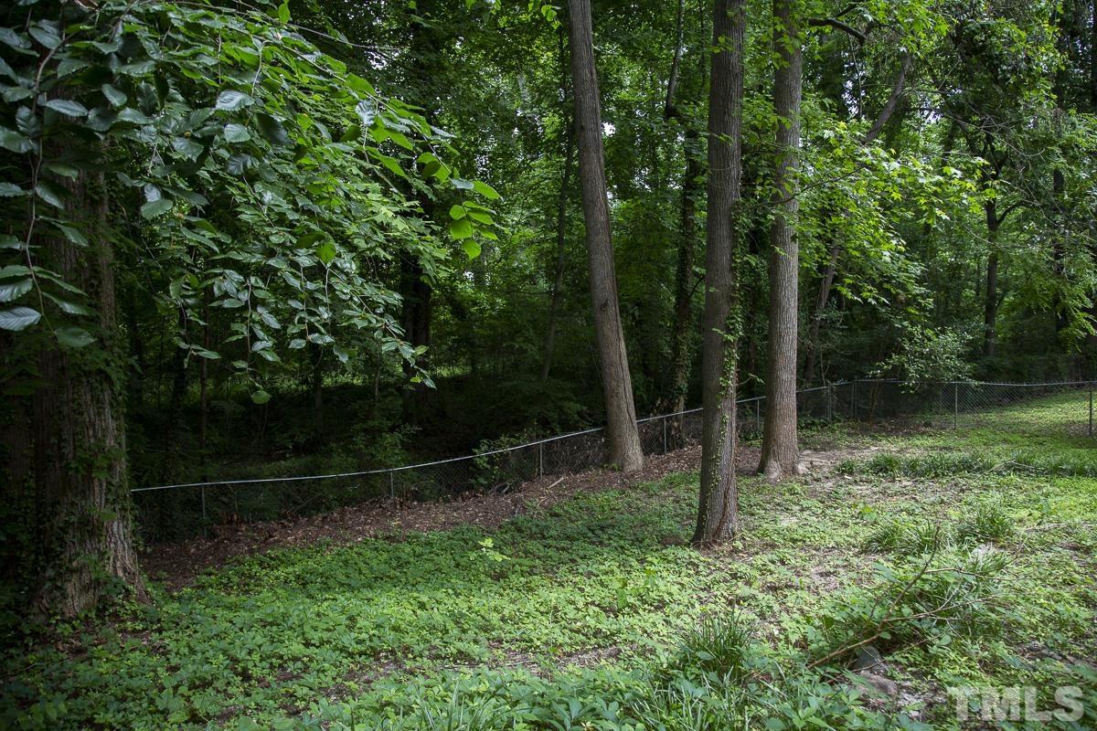 2817 Herring Boulevard Durham, NC 27704 - Photo 33 of 34 a view of outdoor space and yard