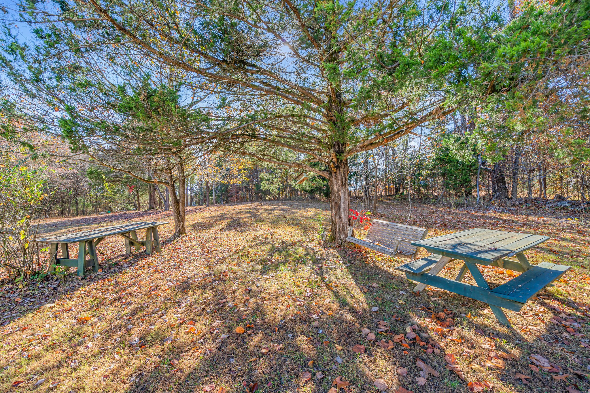 155 Grace Road Bon Aqua, TN 37025 - Photo 42 of 70 Gallery Image 42