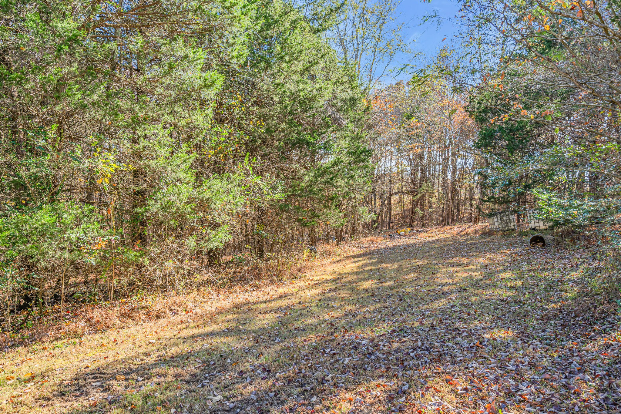 155 Grace Road Bon Aqua, TN 37025 - Photo 43 of 70 Gallery Image 43