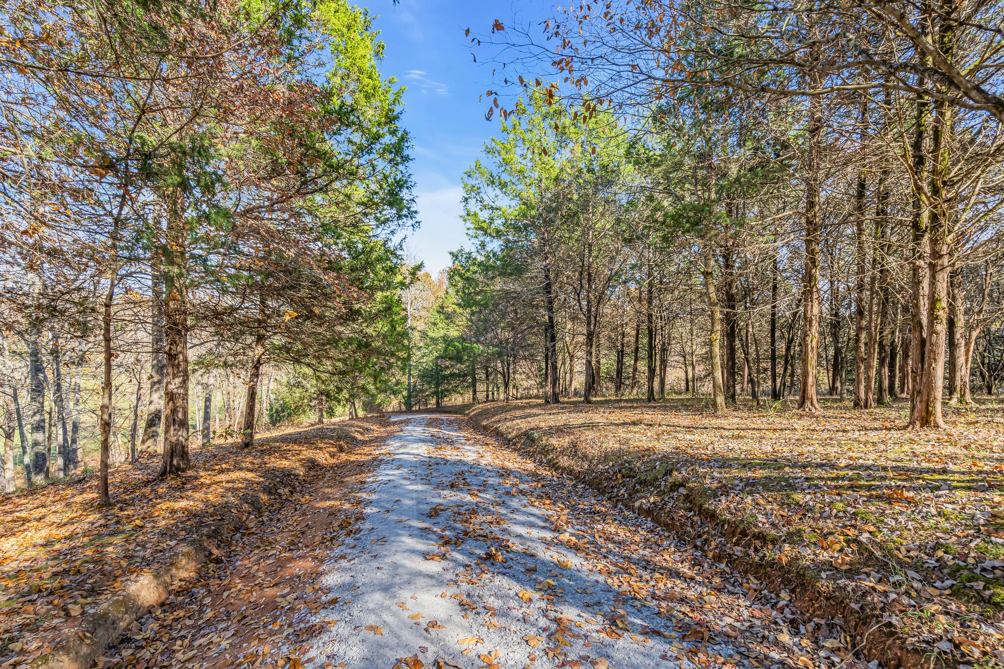 155 Grace Road Bon Aqua, TN 37025 - Photo 6 of 70 Gallery Image 6