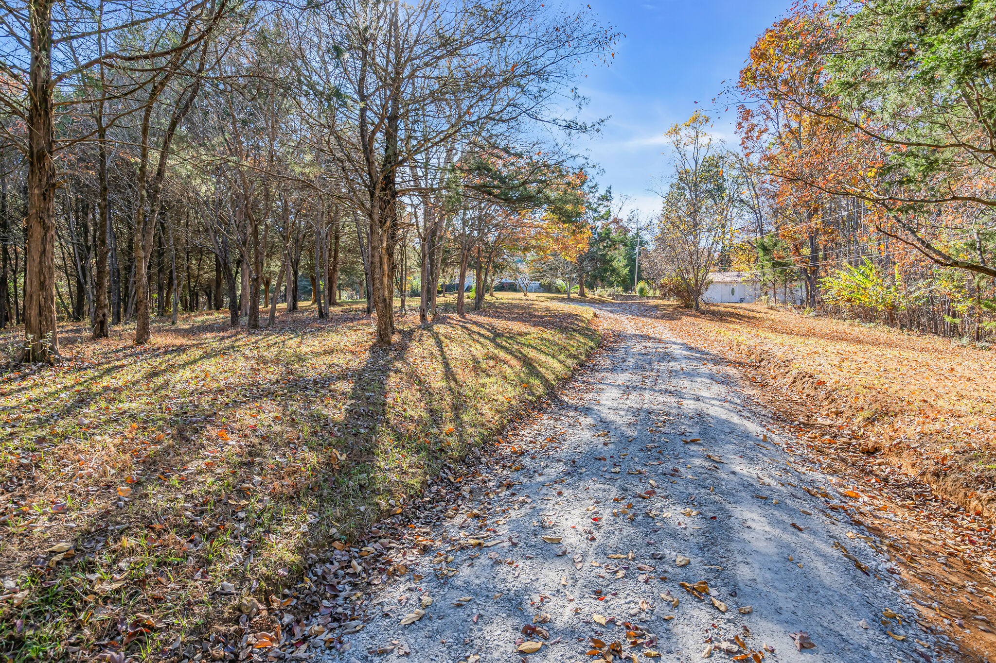 155 Grace Road Bon Aqua, TN 37025 - Photo 7 of 70 Gallery Image 7