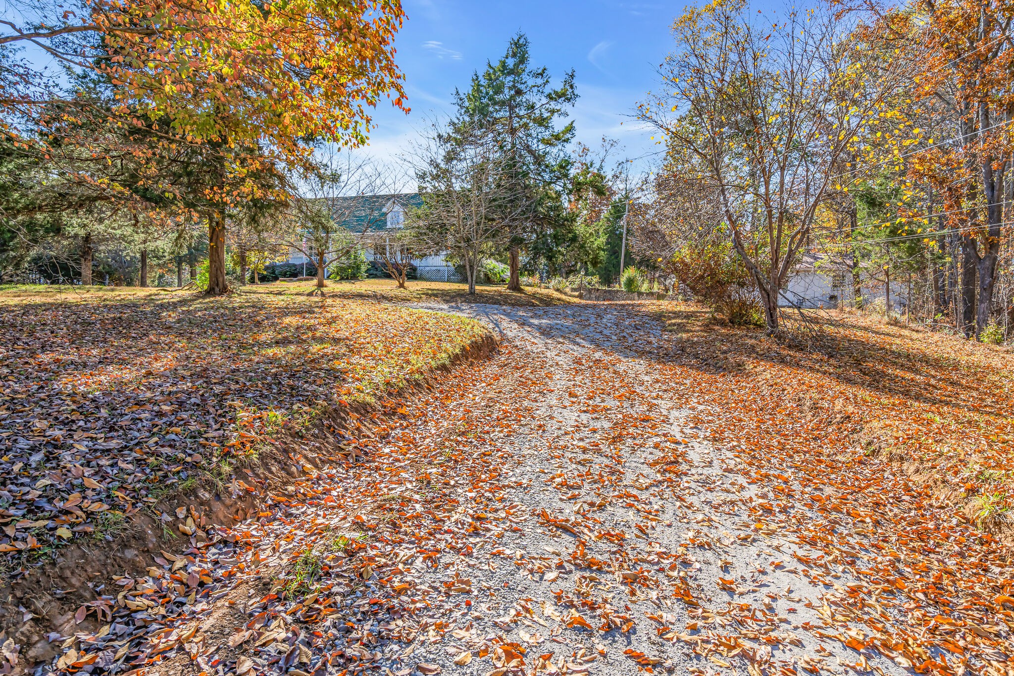 155 Grace Road Bon Aqua, TN 37025 - Photo 8 of 70 Gallery Image 8