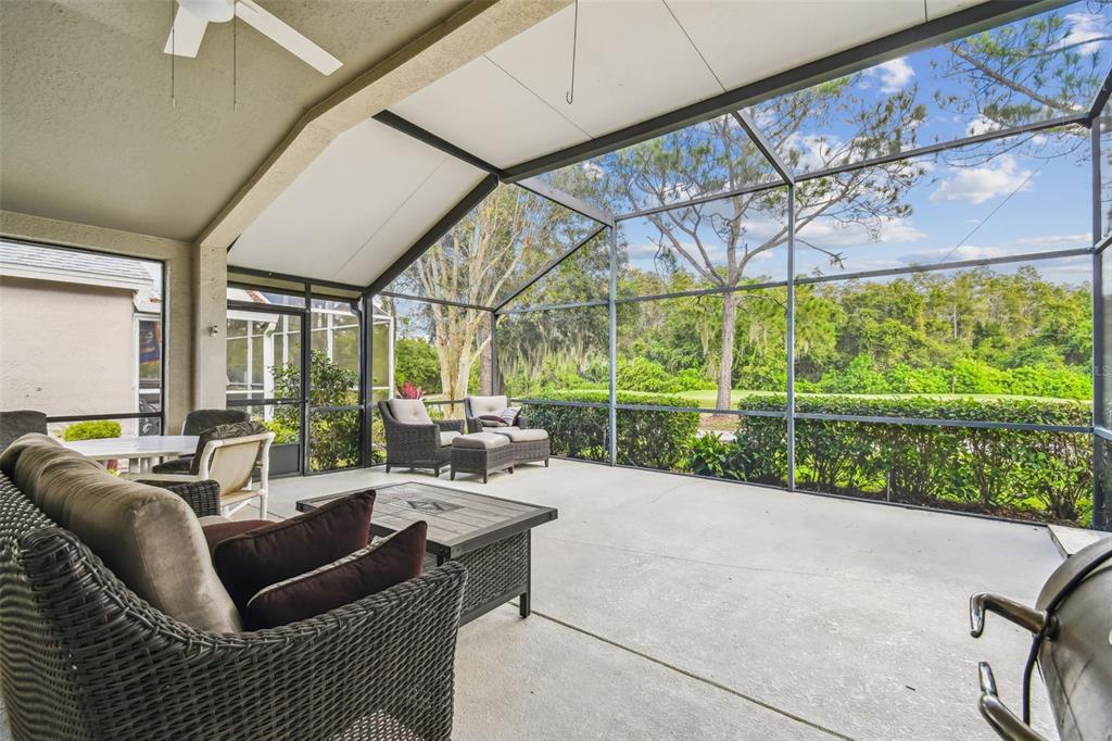 5354 Lookout Pass Wesley Chapel, FL 33544 - Photo 3 of 67