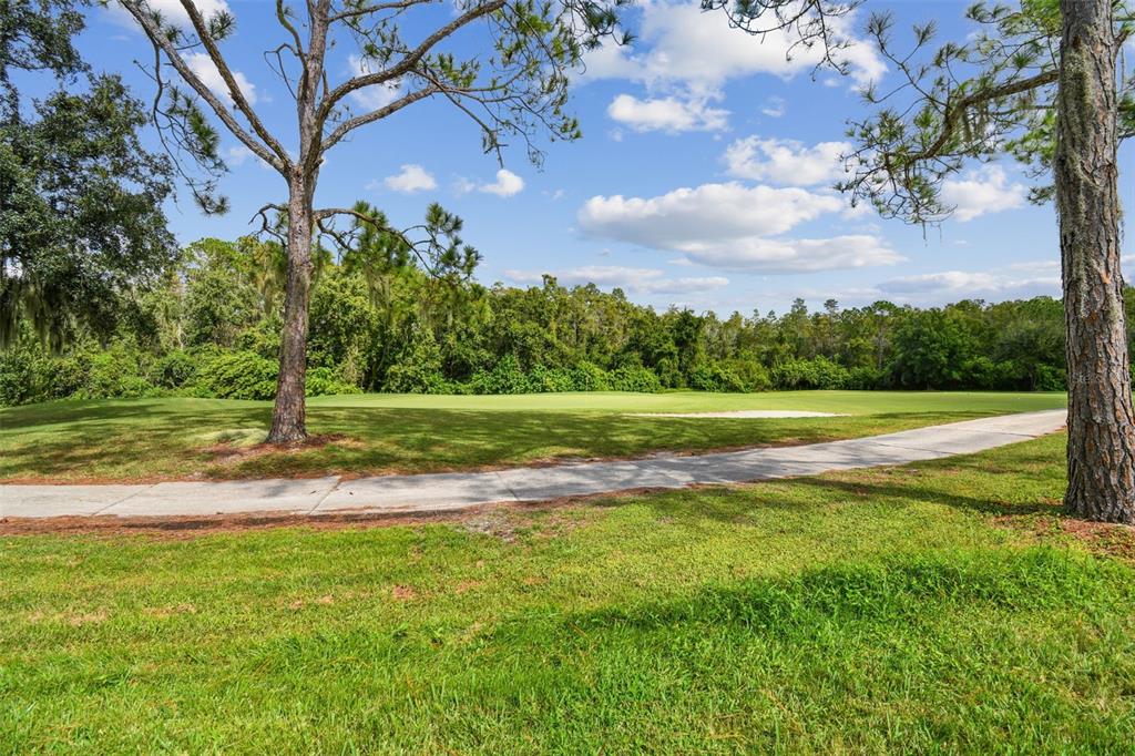 5354 Lookout Pass Wesley Chapel, FL 33544 - Photo 36 of 67