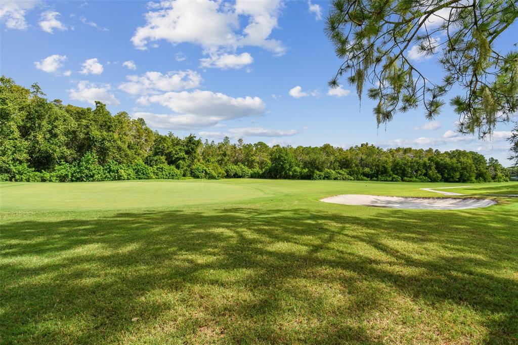 5354 Lookout Pass Wesley Chapel, FL 33544 - Photo 37 of 67