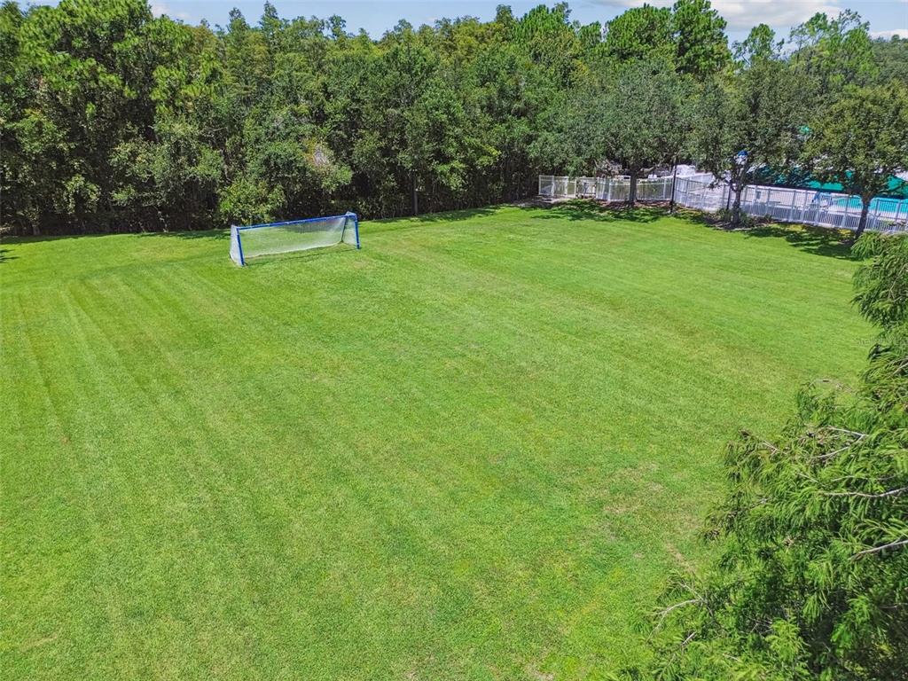 5354 Lookout Pass Wesley Chapel, FL 33544 - Photo 50 of 67