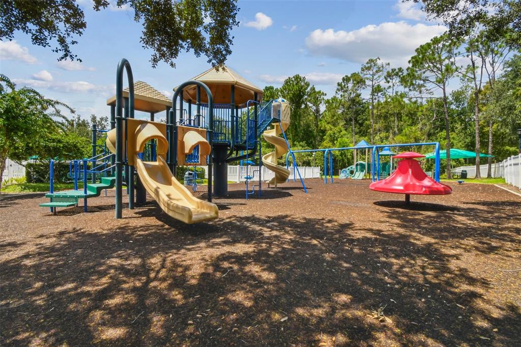 5354 Lookout Pass Wesley Chapel, FL 33544 - Photo 66 of 67