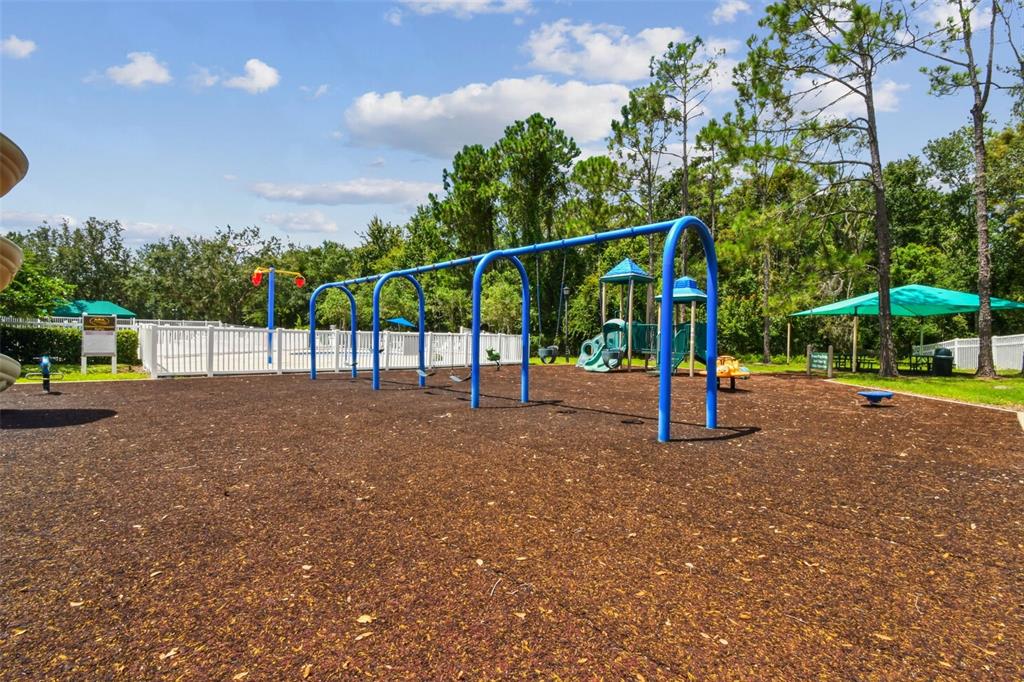 5354 Lookout Pass Wesley Chapel, FL 33544 - Photo 67 of 67