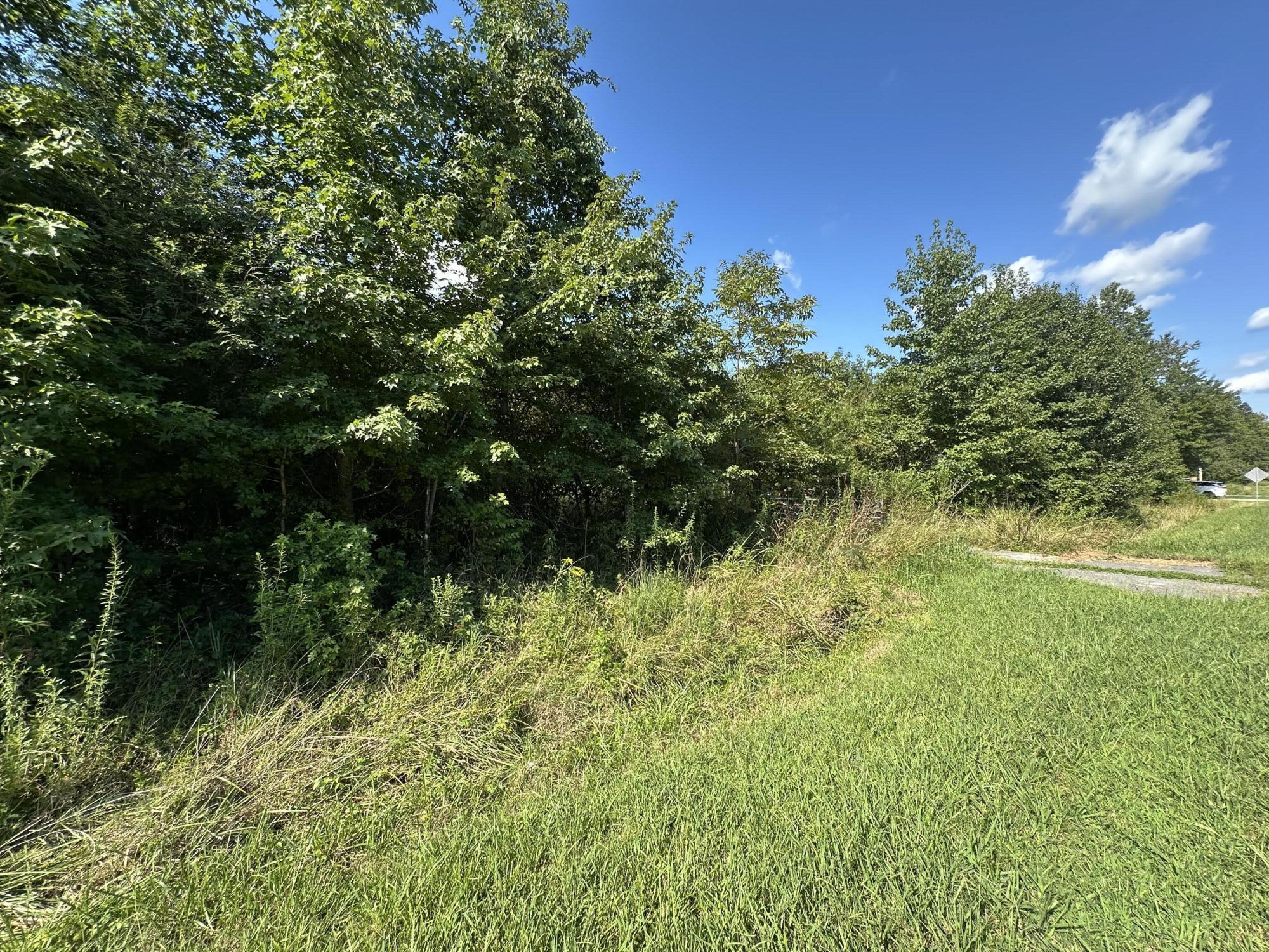 3969 Salem Valley Road Ringgold, GA 30736 - Photo 5 of 14 IMG_1188