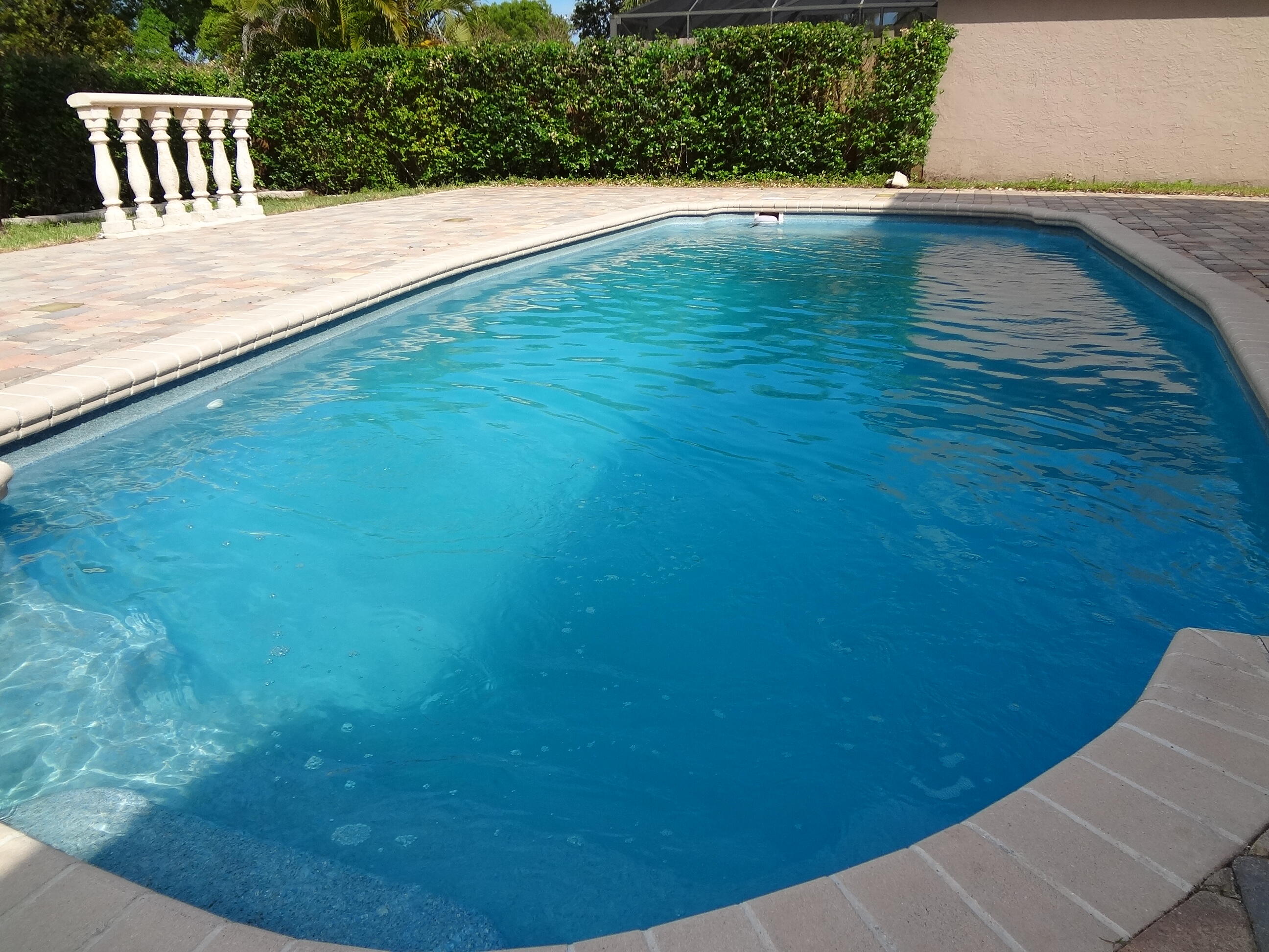 22442 Sea Bass Drive Boca Raton, FL 33428 - Photo 2 of 18 POOL (1)