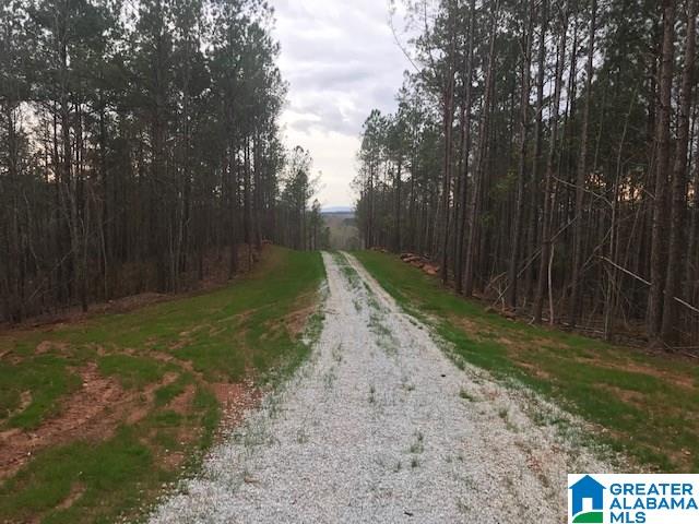 5300 Idaho Road, Unit 200 Talladega, AL 35160 - Photo 13 of 14