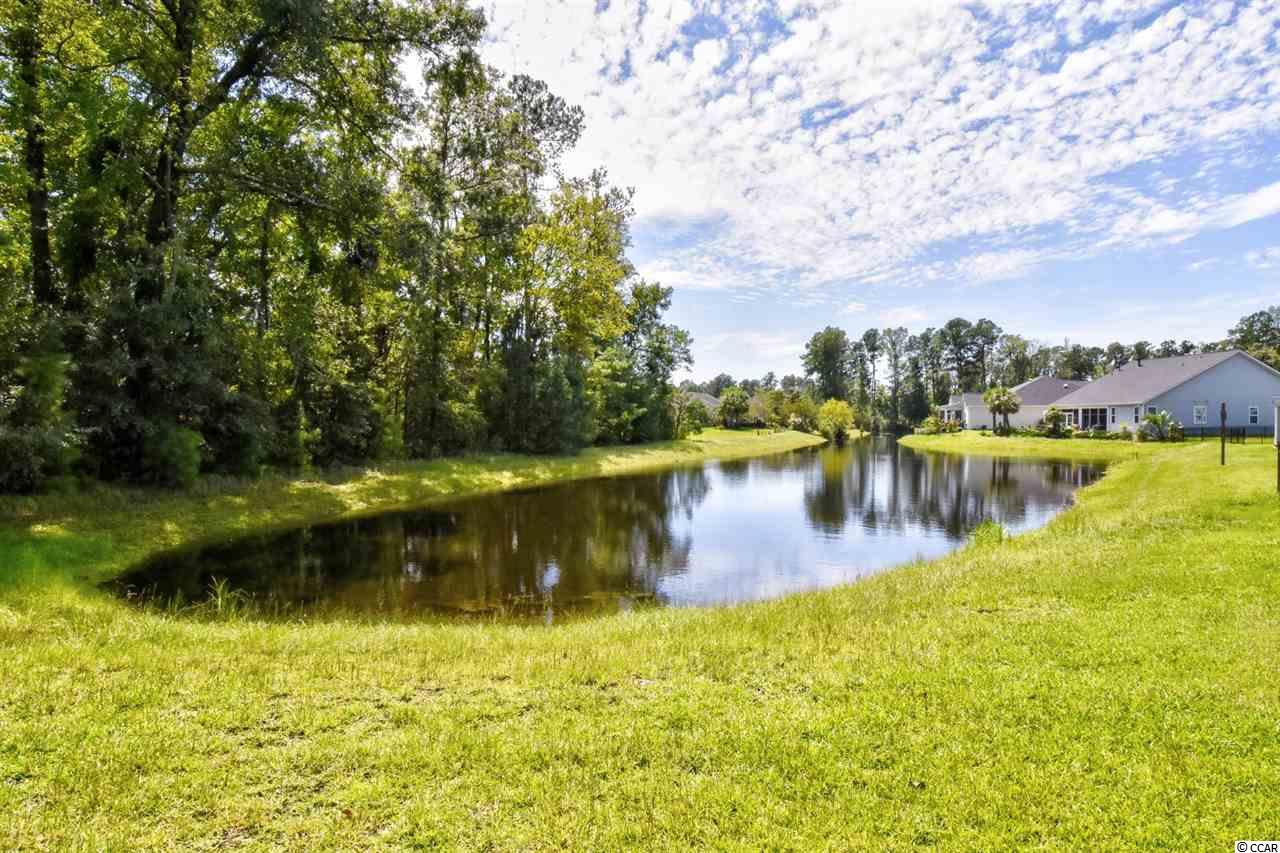 361 Ridge Point Drive Conway, SC 29526 - Photo 34 of 39 Gallery Image 34