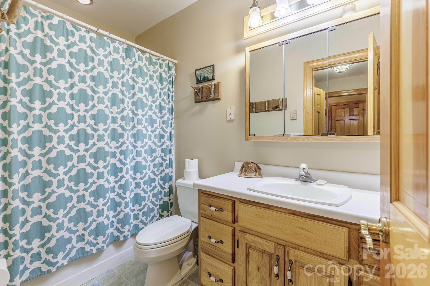 97 Covered Bridge Road Robbinsville, NC 28771 - Photo 33 of 45 a bathroom with a sink toilet and mirror