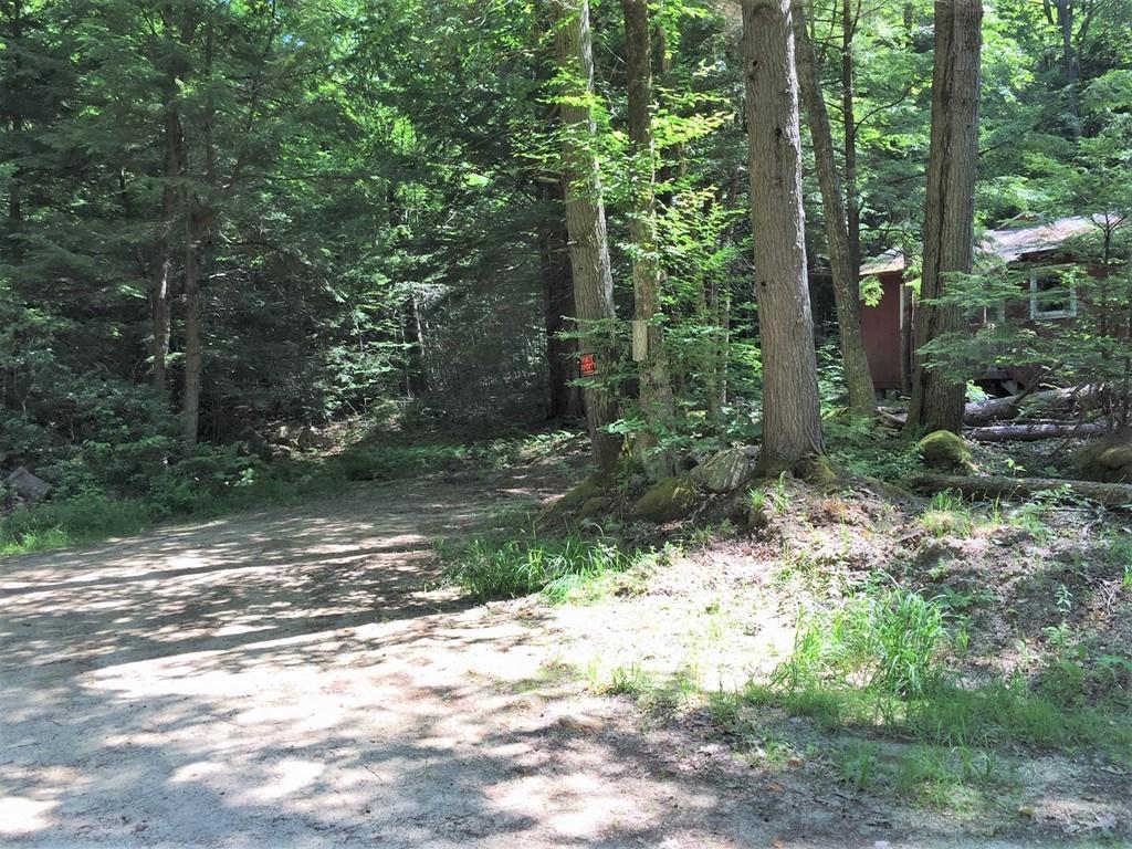 69 Kentfield Road Wendell, MA 01379 - Photo 2 of 9 a view of a forest with trees in the background