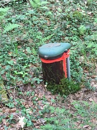 69 Kentfield Road Wendell, MA 01379 - Photo 5 of 9 a fire hydrant in the middle of a forest