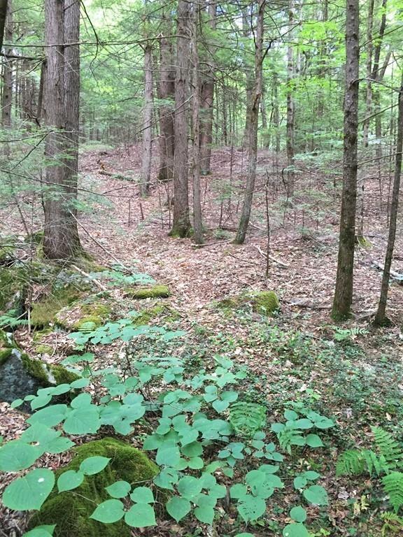 69 Kentfield Road Wendell, MA 01379 - Photo 6 of 9 a backyard of a house with lots of green space and garden