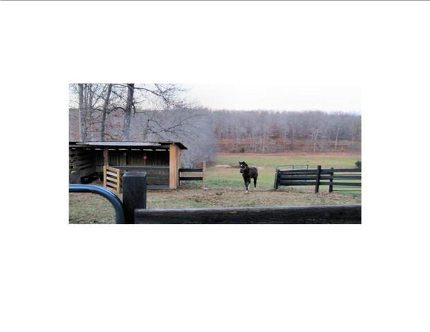 1261 Seiber Ridge Road Hohenwald, TN 38462 - Photo 11 of 20 Gallery Image 11