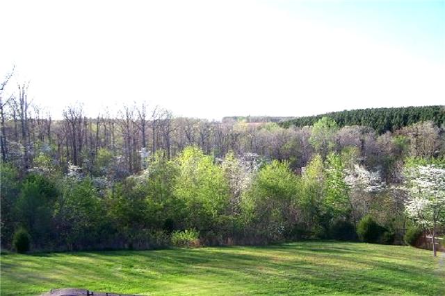 1261 Seiber Ridge Road Hohenwald, TN 38462 - Photo 18 of 20 Gallery Image 18