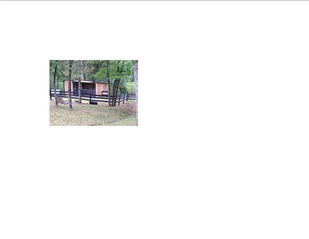 1261 Seiber Ridge Road Hohenwald, TN 38462 - Photo 10 of 20 Gallery Image 10