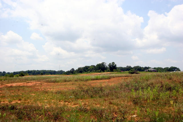 Niles Ferry Road Vonore, TN 37885 - Photo 10 of 11 01-IMG_4302