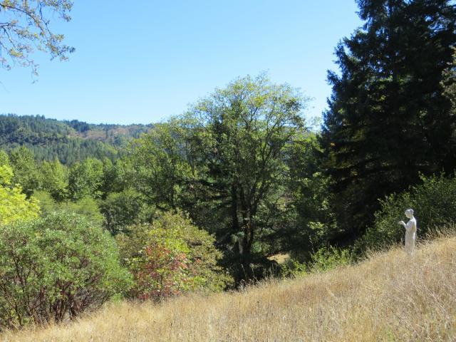 2500 Van Duzen Road Bridgeville, CA 95526 - Photo 19 of 48