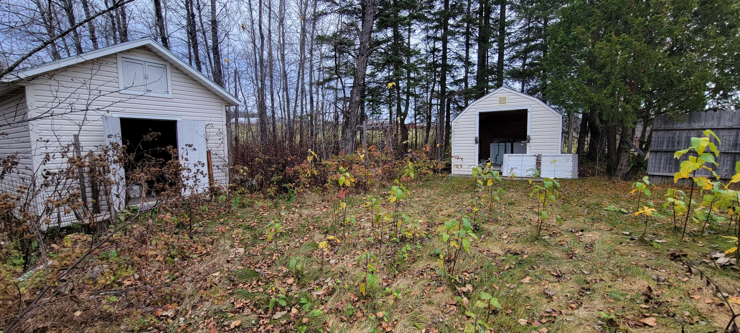 748 North Perley Brook Road Fort Kent, ME 04743 - Photo 12 of 32 20221024_105654