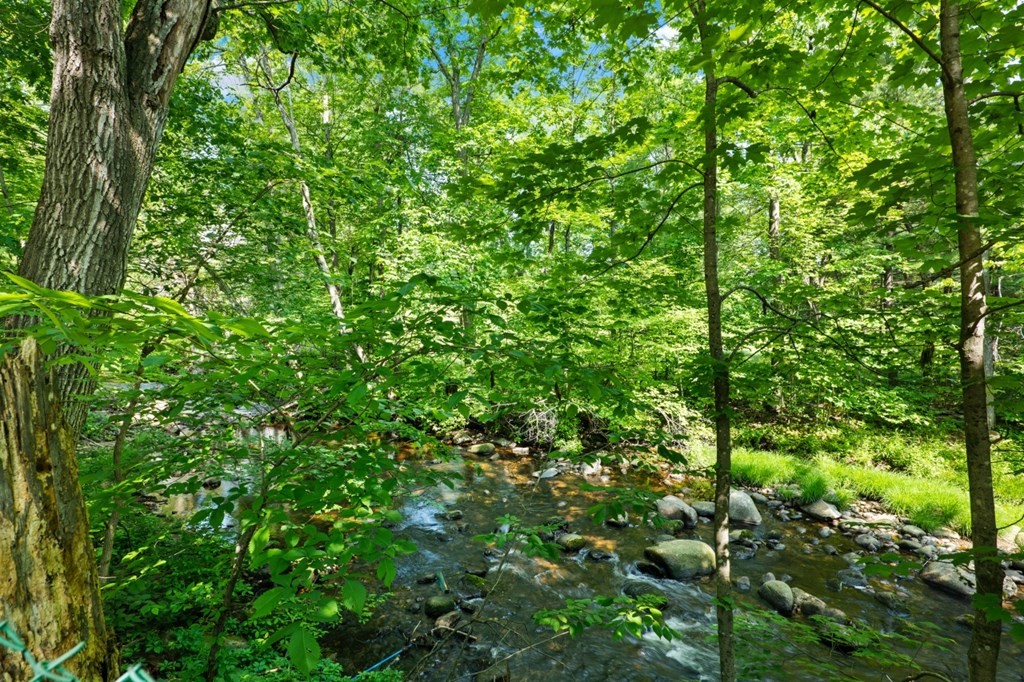 549 Main Street Townsend, MA 01474 - Photo 37 of 41 a view of a lush green forest