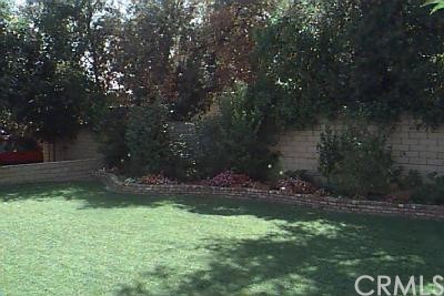 a view of a back yard