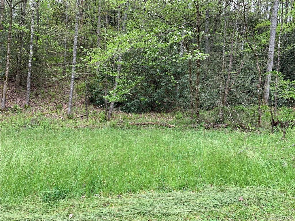 0 Ross Road, Unit 13 Brevard, NC 28712 - Photo 4 of 8 Gallery Image 4