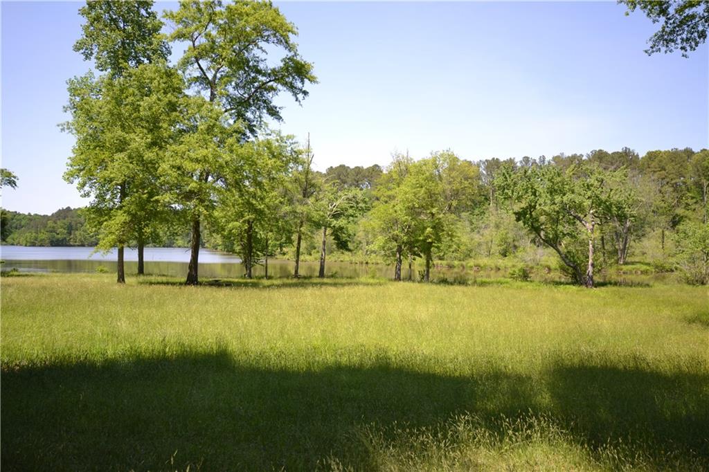 5960 Highway 120 Buchanan, GA 30113 - Photo 26 of 40