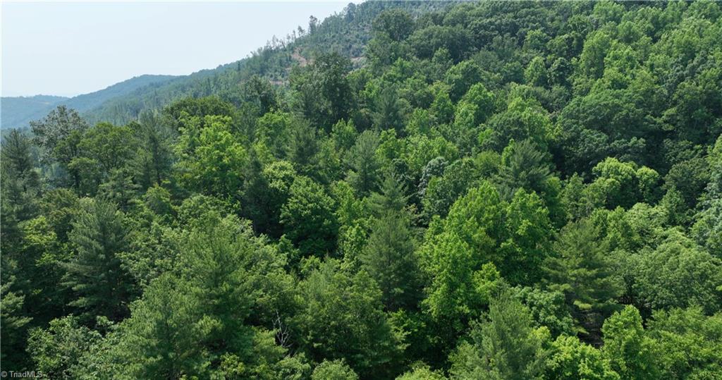 1 Siffords Branch Road Purlear, NC 28665 - Photo 13 of 29 Gallery Image 13
