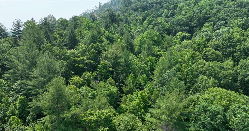 1 Siffords Branch Road Purlear, NC 28665 - Photo 14 of 29 Gallery Image 14