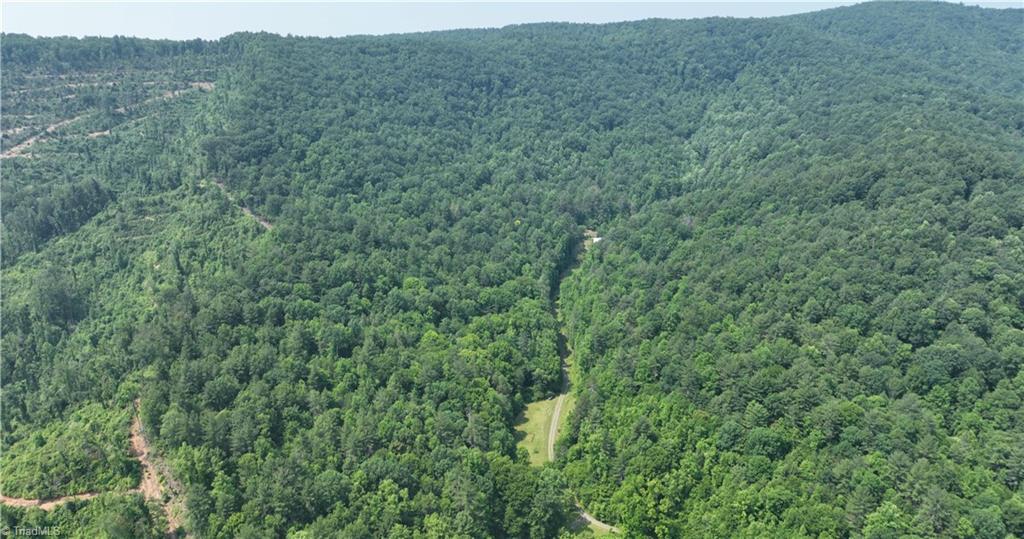1 Siffords Branch Road Purlear, NC 28665 - Photo 18 of 29 Gallery Image 18