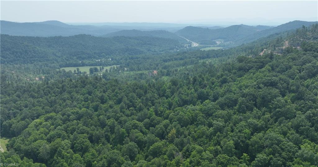 1 Siffords Branch Road Purlear, NC 28665 - Photo 20 of 29 Gallery Image 20