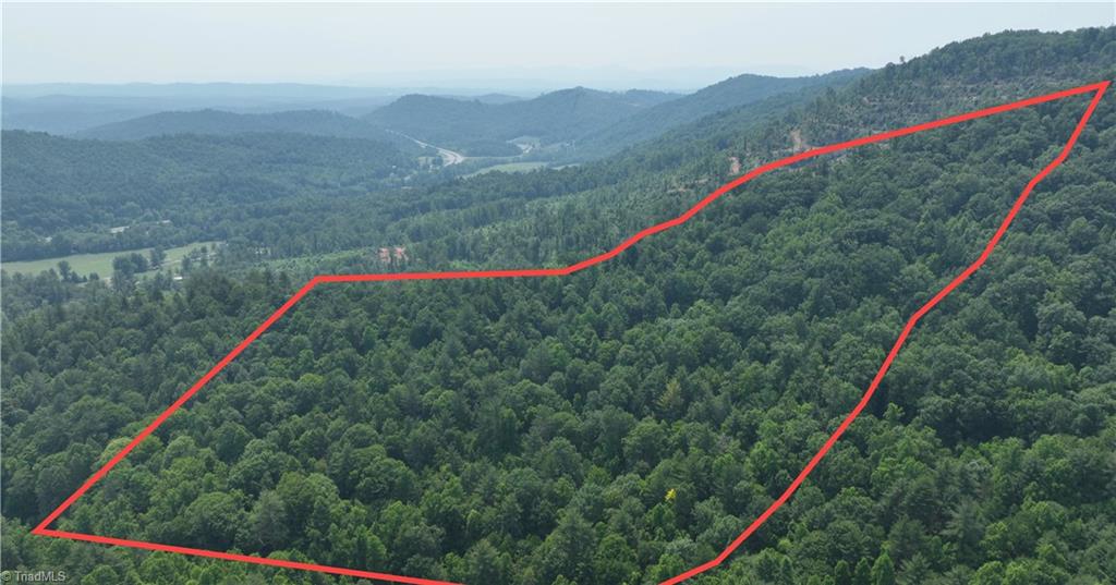 1 Siffords Branch Road Purlear, NC 28665 - Photo 2 of 29 Gallery Image 2