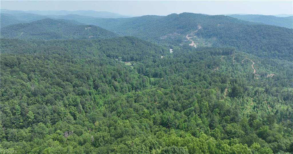 1 Siffords Branch Road Purlear, NC 28665 - Photo 21 of 29 Gallery Image 21