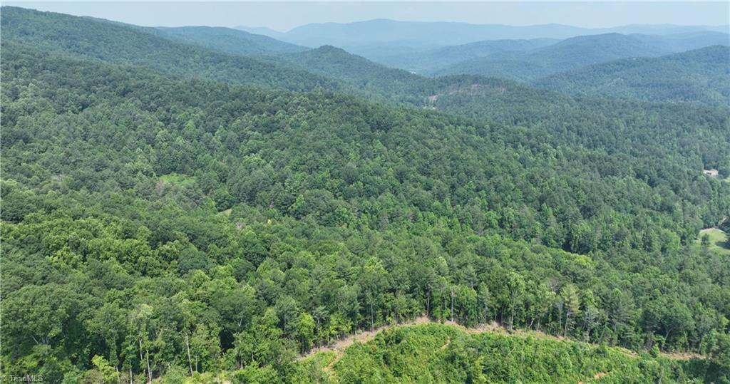 1 Siffords Branch Road Purlear, NC 28665 - Photo 22 of 29 Gallery Image 22