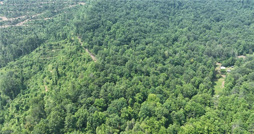 1 Siffords Branch Road Purlear, NC 28665 - Photo 23 of 29 Gallery Image 23