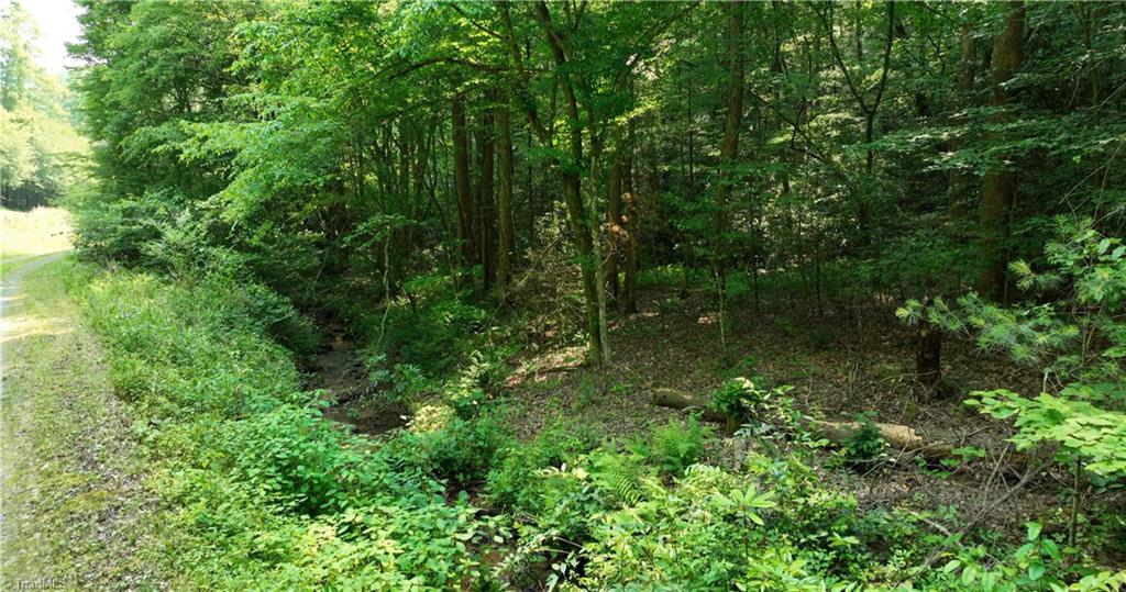 1 Siffords Branch Road Purlear, NC 28665 - Photo 27 of 29 Gallery Image 27
