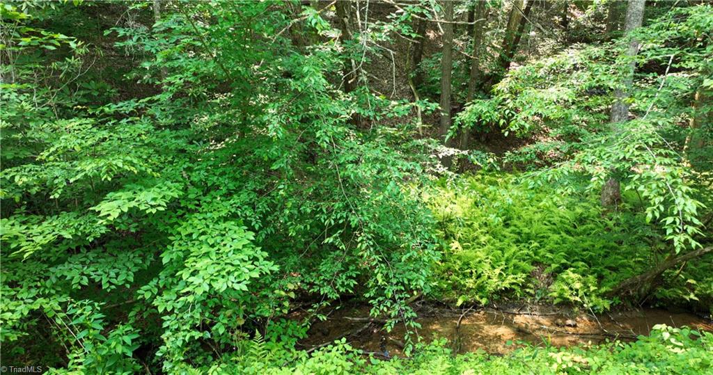 1 Siffords Branch Road Purlear, NC 28665 - Photo 28 of 29 Gallery Image 28