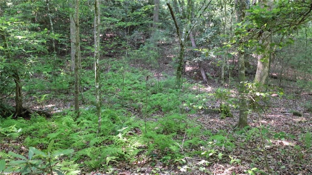 1 Siffords Branch Road Purlear, NC 28665 - Photo 5 of 29 Gallery Image 5