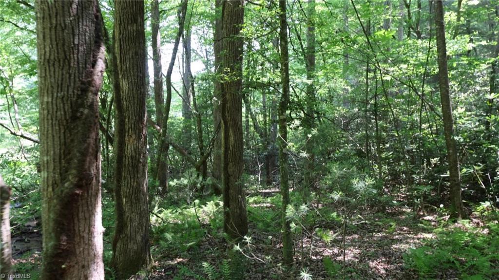 1 Siffords Branch Road Purlear, NC 28665 - Photo 6 of 29 Gallery Image 6
