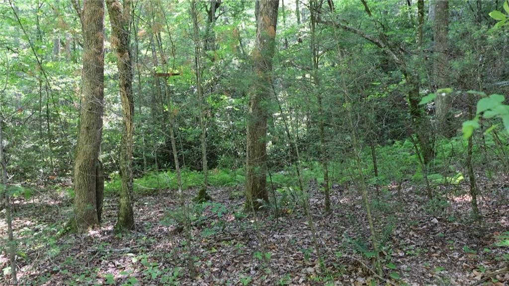 1 Siffords Branch Road Purlear, NC 28665 - Photo 8 of 29 Gallery Image 8