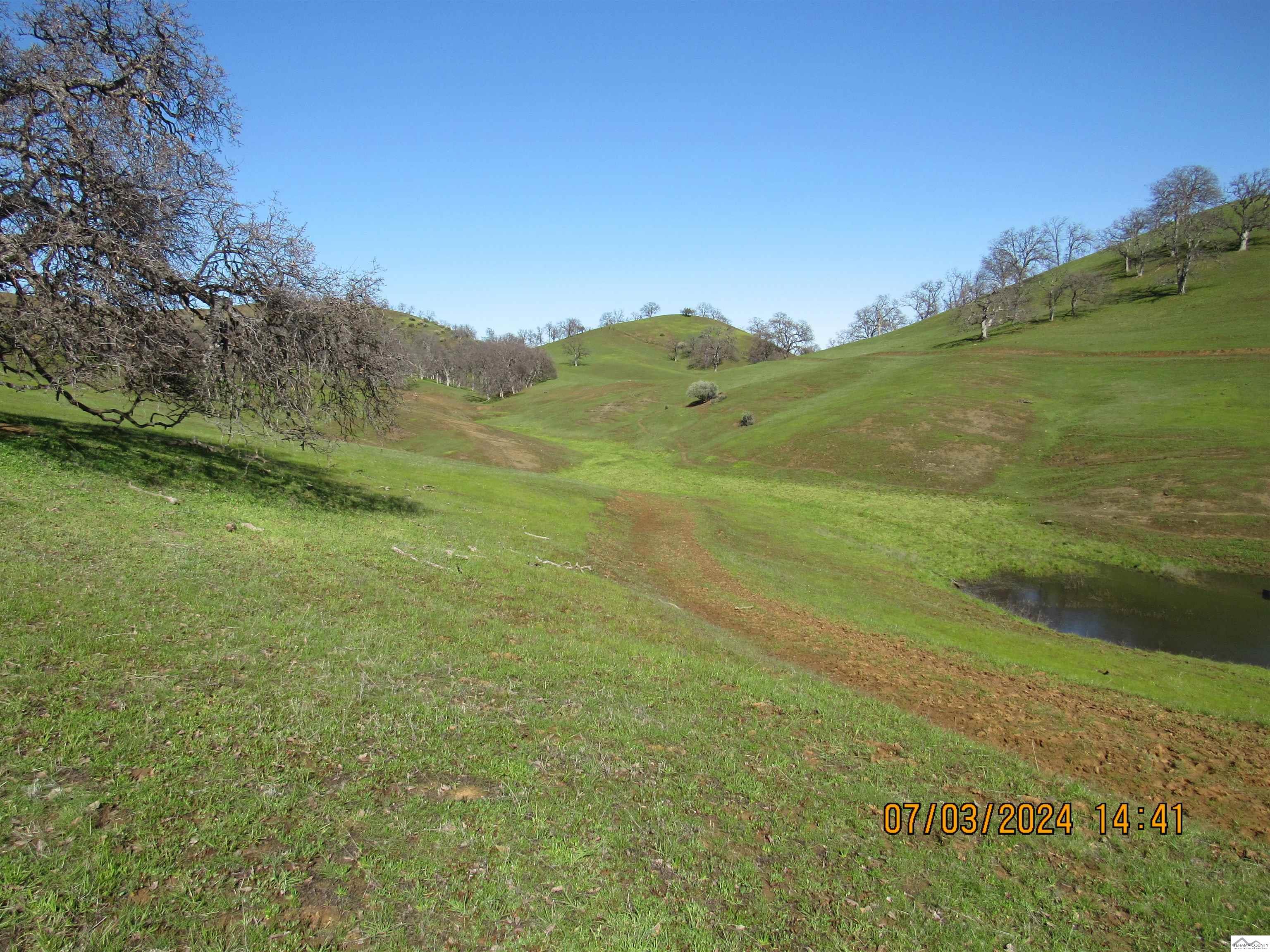 12755 Mccarty Creek Road Red Bluff, CA 96074 - Photo 8 of 28