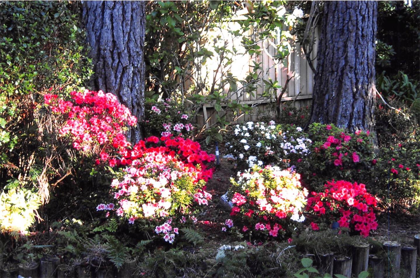4020 Ronda Road Pebble Beach, CA 93953 - Photo 24 of 27 Gallery Image 24
