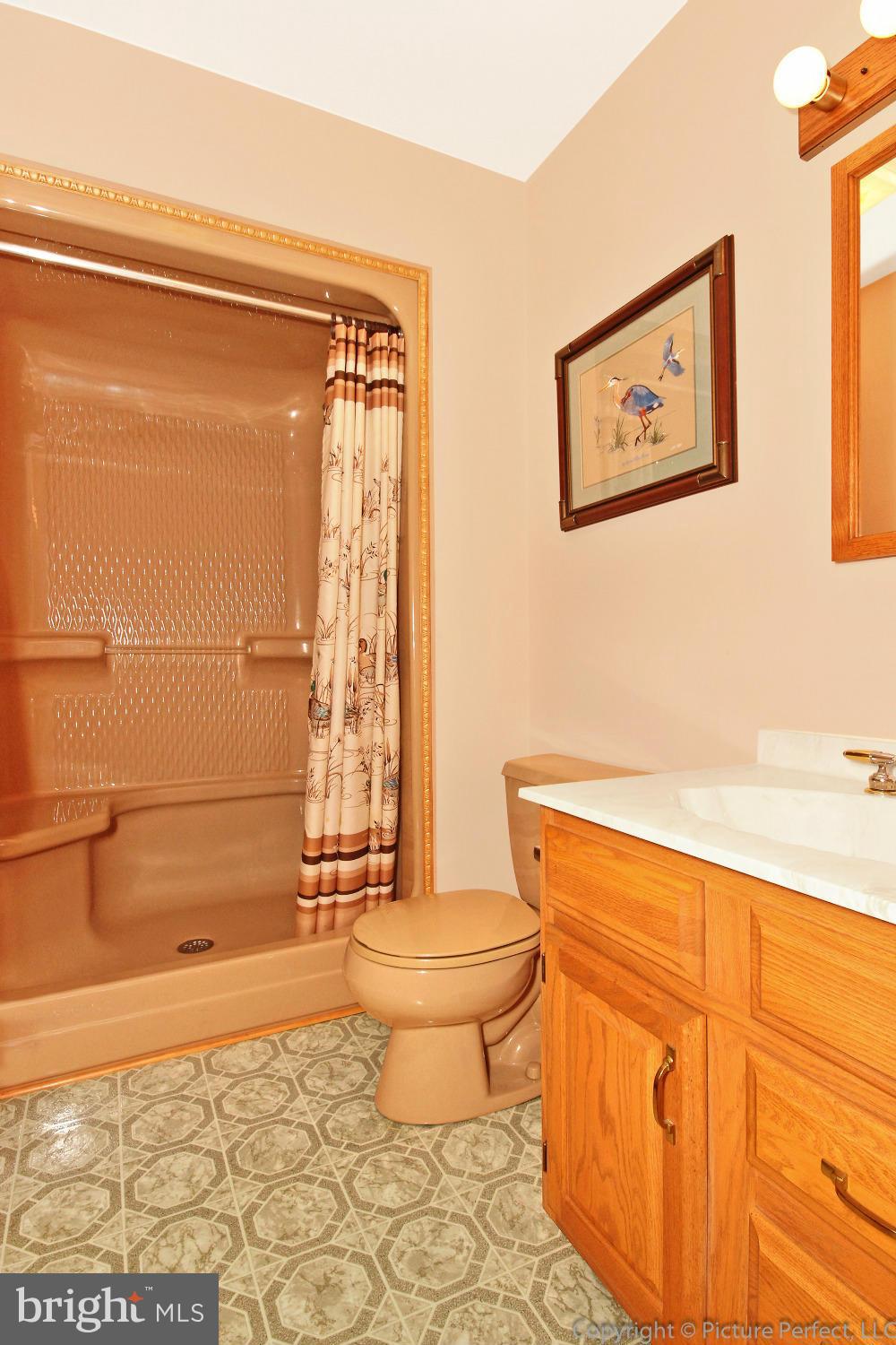 3614 Bullfrog Road Taneytown, MD 21787 - Photo 18 of 29 Bath