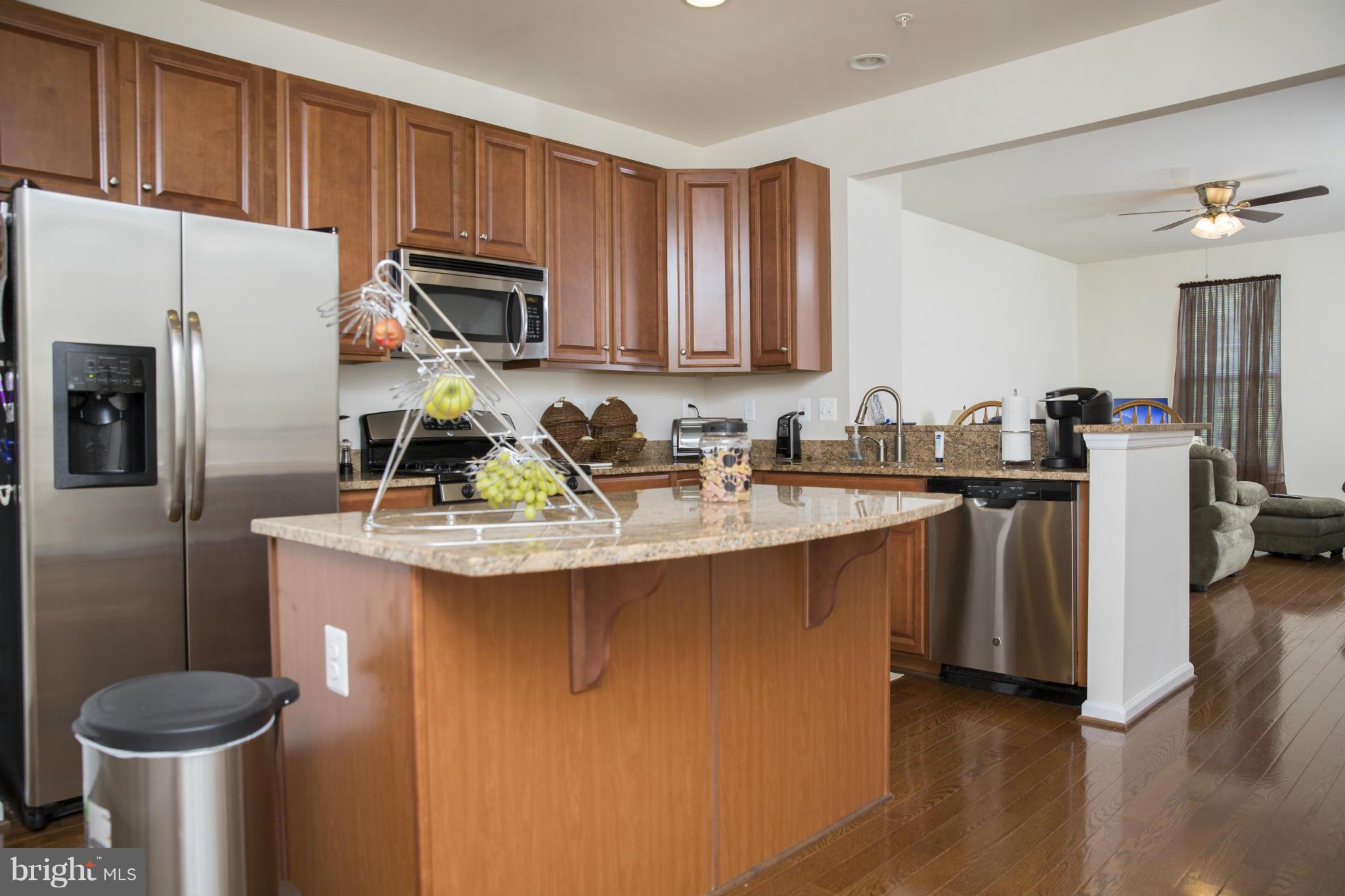 793 Grape Vine Loop Brooklyn, MD 21225 - Photo 3 of 30 Kitchen