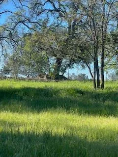 a view of a lake with a yard